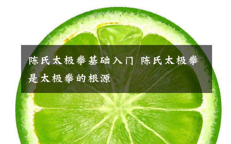 陈氏太极拳基础入门 陈氏太极拳是太极拳的根源