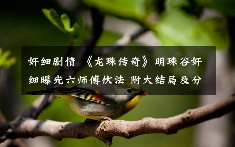 奸细剧情 《龙珠传奇》明珠谷奸细曝光六师傅伏法 附大结局及分集剧情