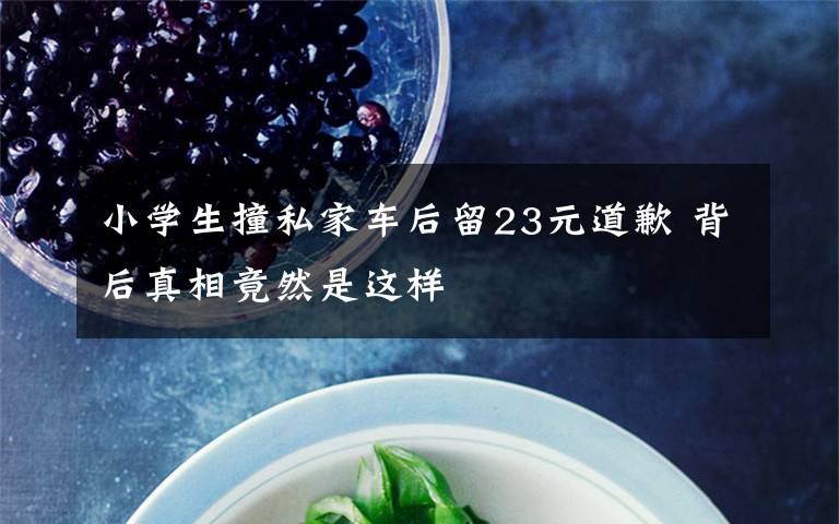 小学生撞私家车后留23元道歉 背后真相竟然是这样