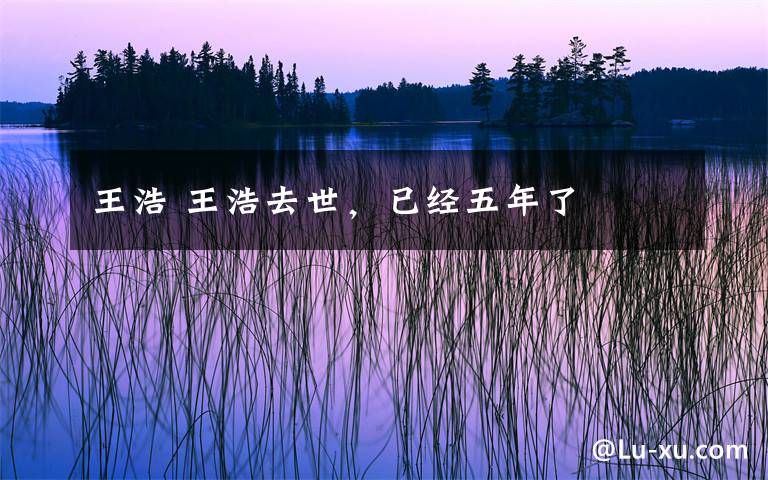 王浩 王浩去世,已经五年了