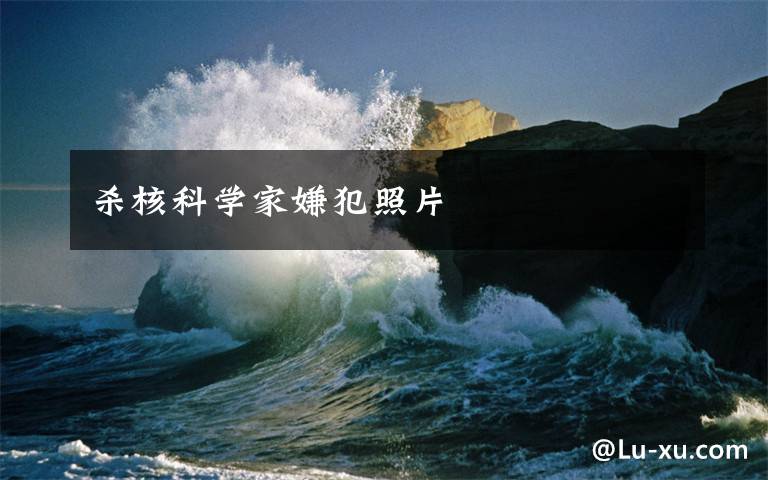 杀核科学家嫌犯照片