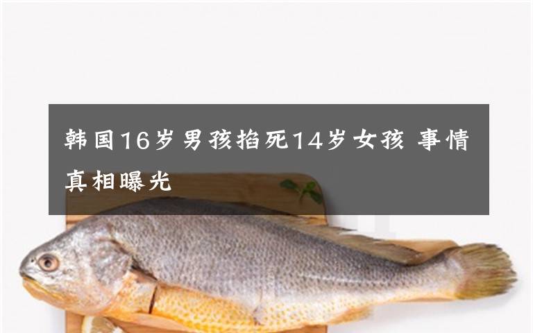 韩国16岁男孩掐死14岁女孩 事情真相曝光
