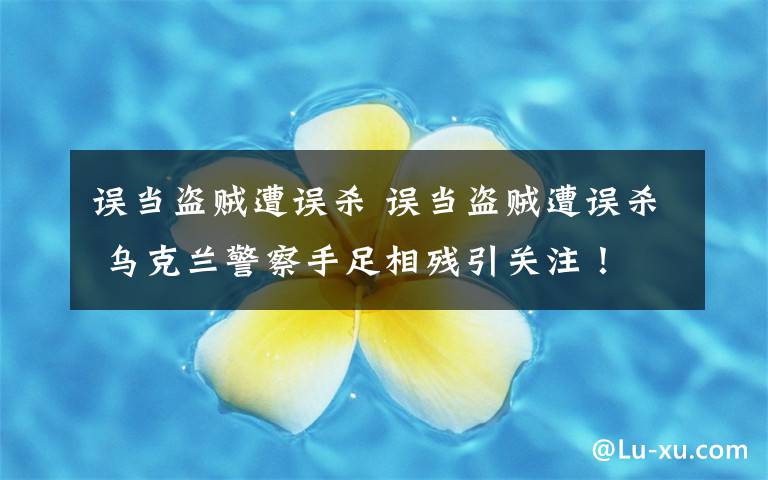 误当盗贼遭误杀 误当盗贼遭误杀 乌克兰警察手足相残引关注！