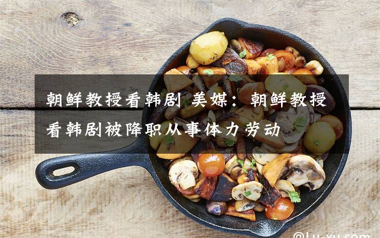 朝鲜教授看韩剧 美媒：朝鲜教授看韩剧被降职从事体力劳动