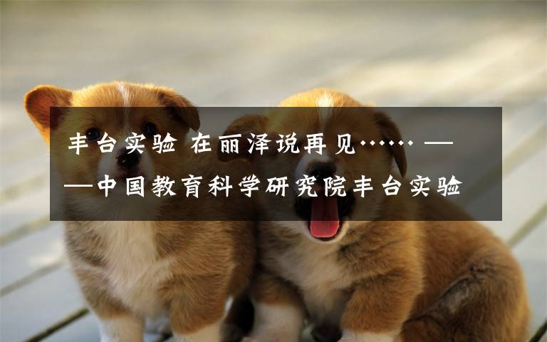 丰台实验 在丽泽说再见…… ——中国教育科学研究院丰台实验学校高三4班毕业版