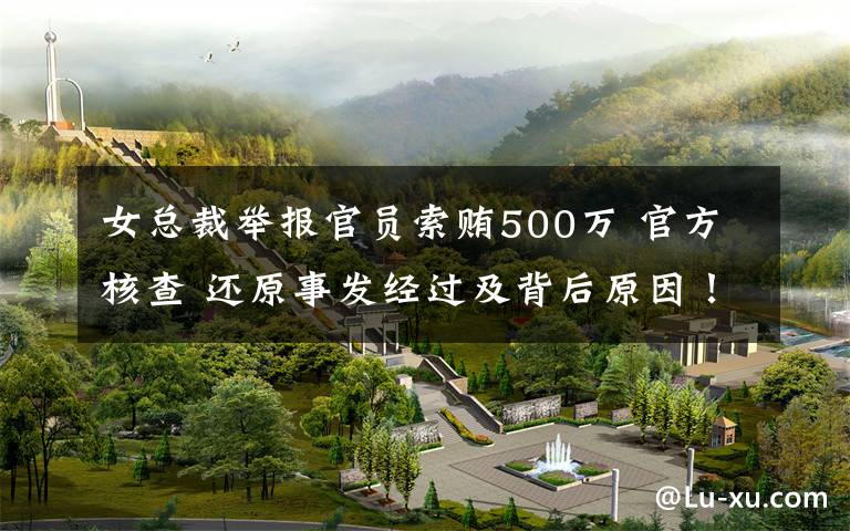 女总裁举报官员索贿500万 官方核查 还原事发经过及背后原因！