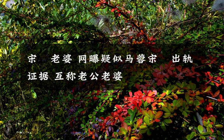 宋喆老婆 网曝疑似马蓉宋喆出轨证据 互称老公老婆