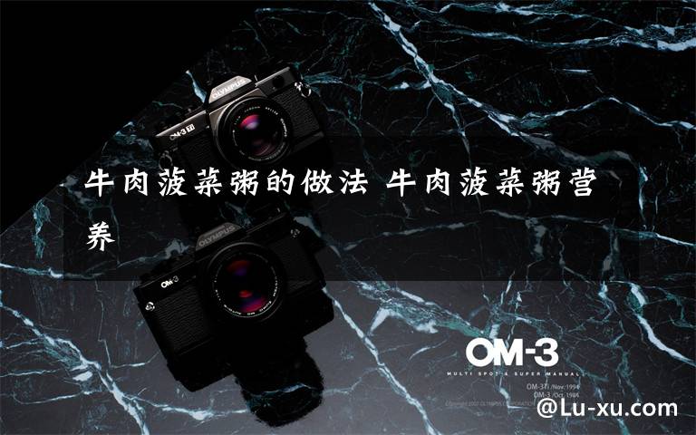 牛肉菠菜粥的做法 牛肉菠菜粥营养