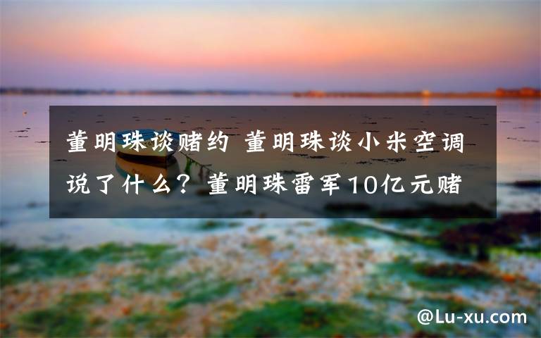 董明珠谈赌约 董明珠谈小米空调说了什么?董明珠雷军10亿元赌约是怎么回事