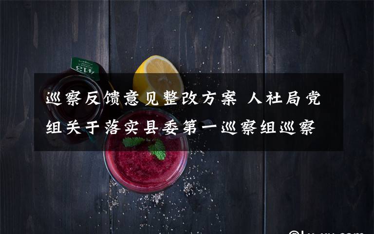 巡察反馈意见整改方案 人社局党组关于落实县委第一巡察组巡察反馈意见的整改方案