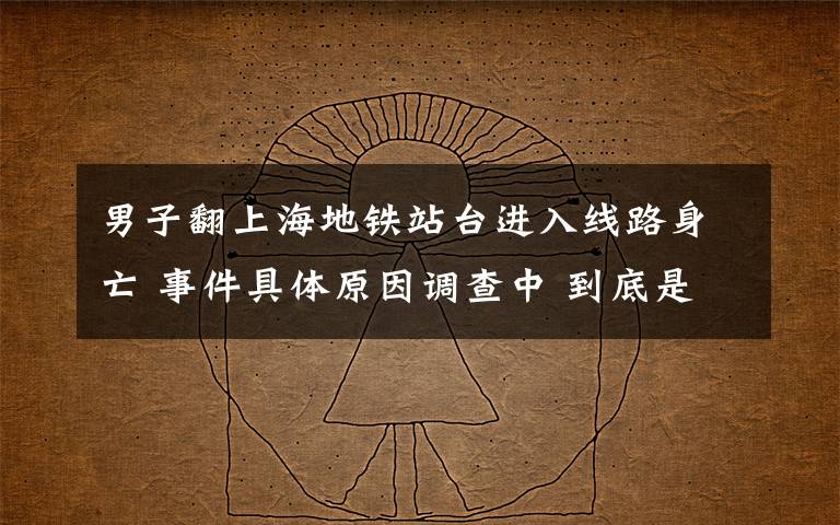 男子翻上海地铁站台进入线路身亡 事件具体原因调查中 到底是什么状况?