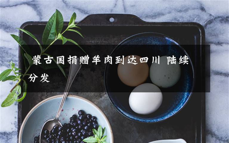  蒙古国捐赠羊肉到达四川 陆续分发