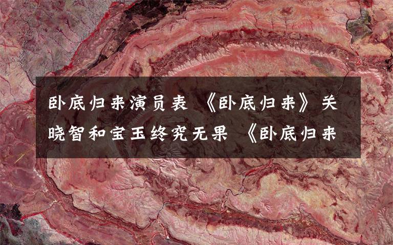 卧底归来演员表 《卧底归来》关晓智和宝玉终究无果 《卧底归来》大结局及剧情介绍