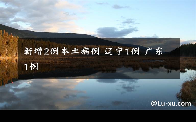 新增2例本土病例 辽宁1例 广东1例