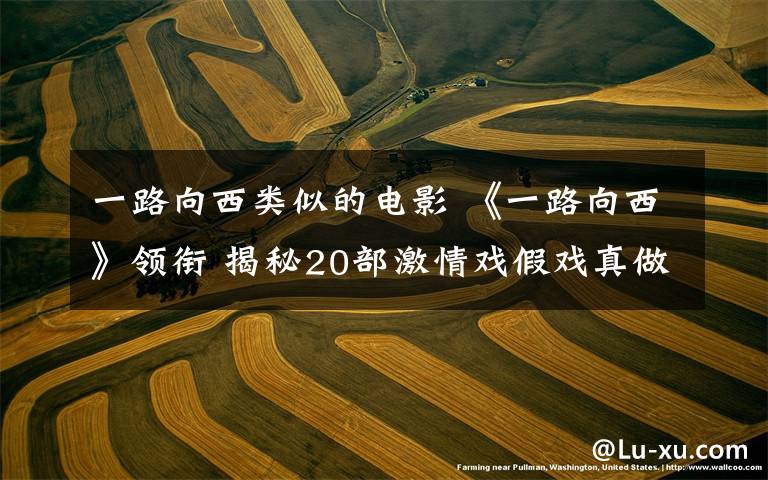 一路向西类似的电影 《一路向西》领衔 揭秘20部激情戏假戏真做电影