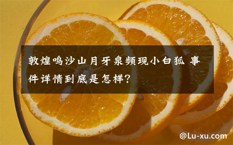 敦煌鸣沙山月牙泉频现小白狐 事件详情到底是怎样?
