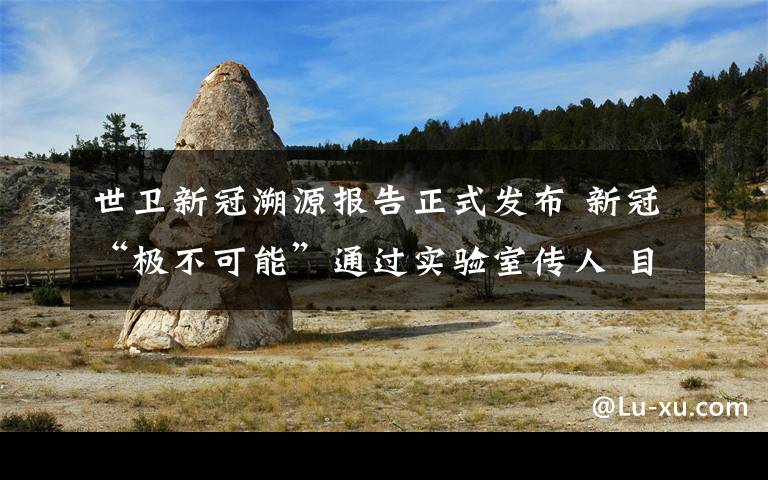 世卫新冠溯源报告正式发布 新冠“极不可能”通过实验室传人 目前是什么情况?