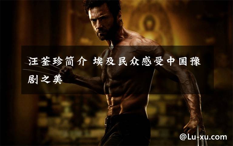 汪荃珍简介 埃及民众感受中国豫剧之美