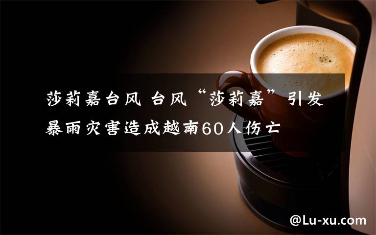 莎莉嘉台风 台风“莎莉嘉”引发暴雨灾害造成越南60人伤亡