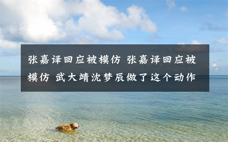 张嘉译回应被模仿 张嘉译回应被模仿 武大靖沈梦辰做了这个动作引网友不满