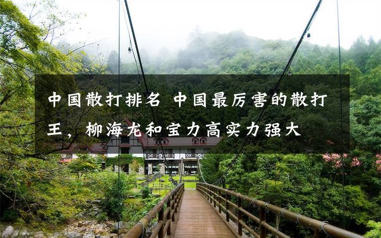 中国散打排名 中国最厉害的散打王,柳海龙和宝力高实力强大