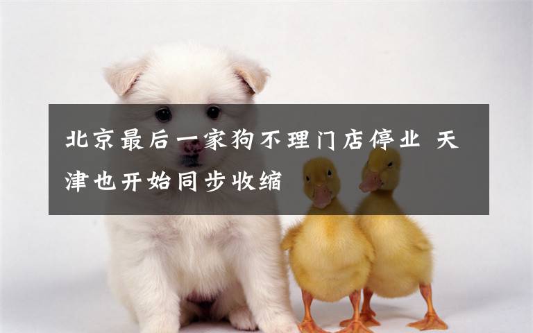北京最后一家狗不理门店停业 天津也开始同步收缩