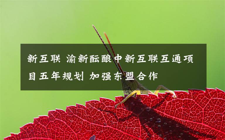 新互联 渝新酝酿中新互联互通项目五年规划 加强东盟合作