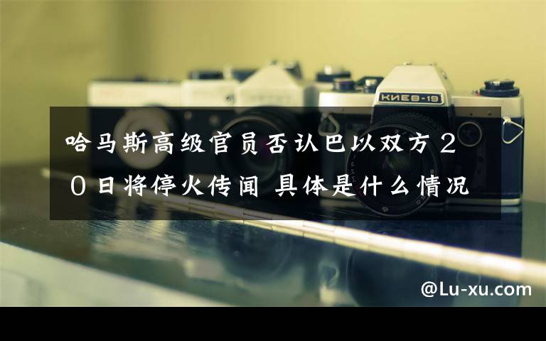 哈马斯高级官员否认巴以双方２０日将停火传闻 具体是什么情况？