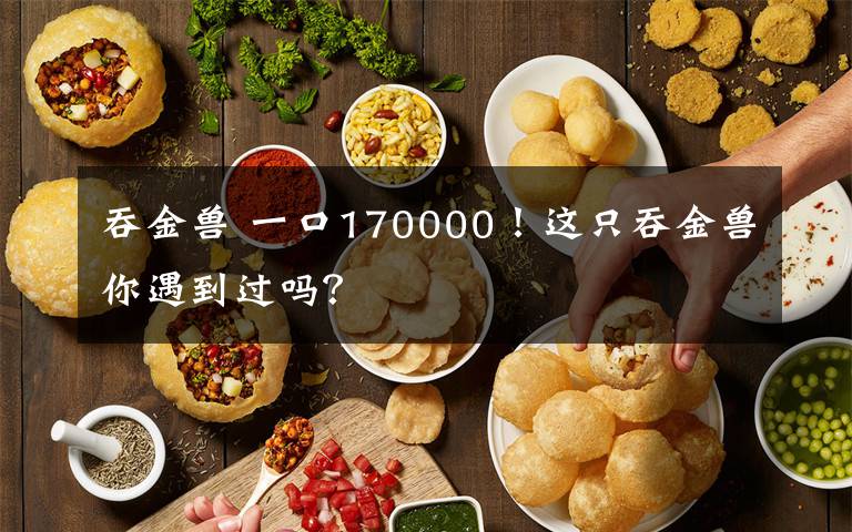 吞金兽 一口170000!这只吞金兽你遇到过吗?