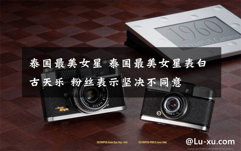 泰国最美女星 泰国最美女星表白古天乐 粉丝表示坚决不同意