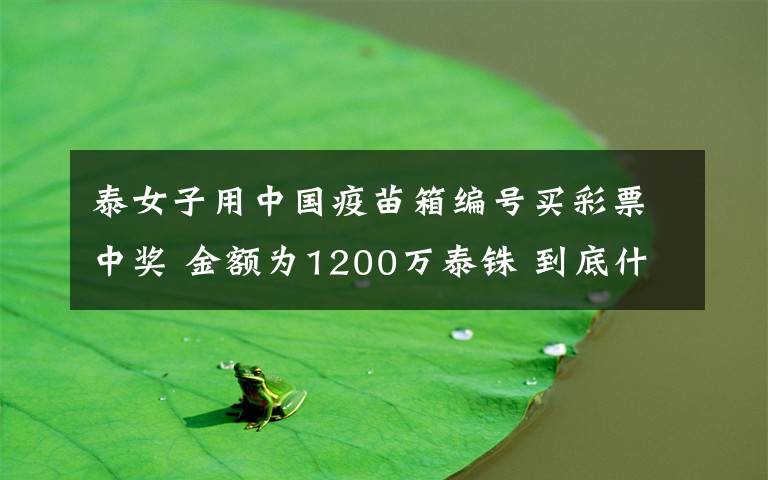 泰女子用中国疫苗箱编号买彩票中奖 金额为1200万泰铢 到底什么情况呢？