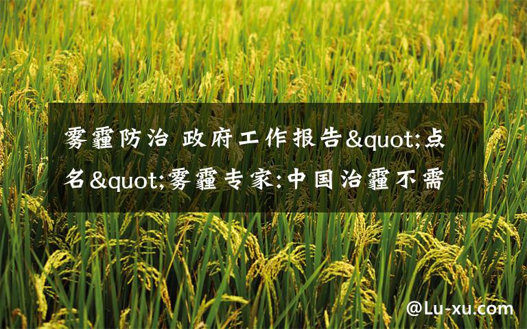 雾霾防治 政府工作报告"点名"雾霾专家:中国治霾不需30年