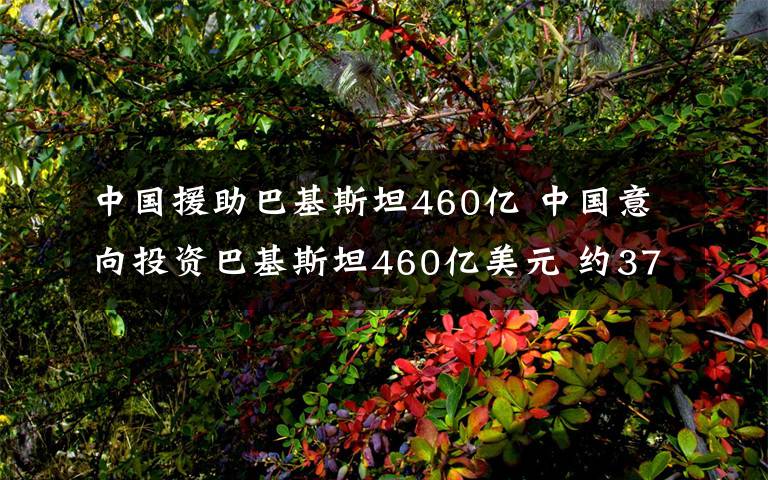 中国援助巴基斯坦460亿 中国意向投资巴基斯坦460亿美元 约370亿投向能源