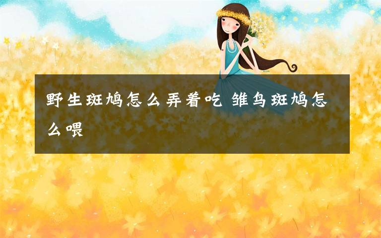 野生斑鸠怎么弄着吃 雏鸟斑鸠怎么喂