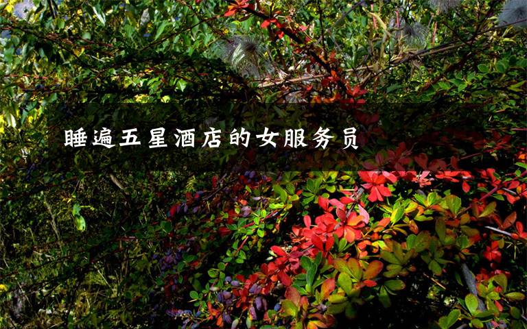 睡遍五星酒店的女服务员