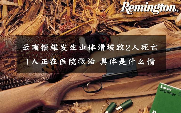 云南镇雄发生山体滑坡致2人死亡 1人正在医院救治 具体是什么情况?