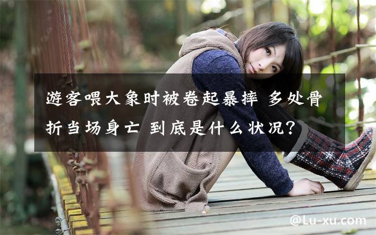 游客喂大象时被卷起暴摔 多处骨折当场身亡 到底是什么状况?