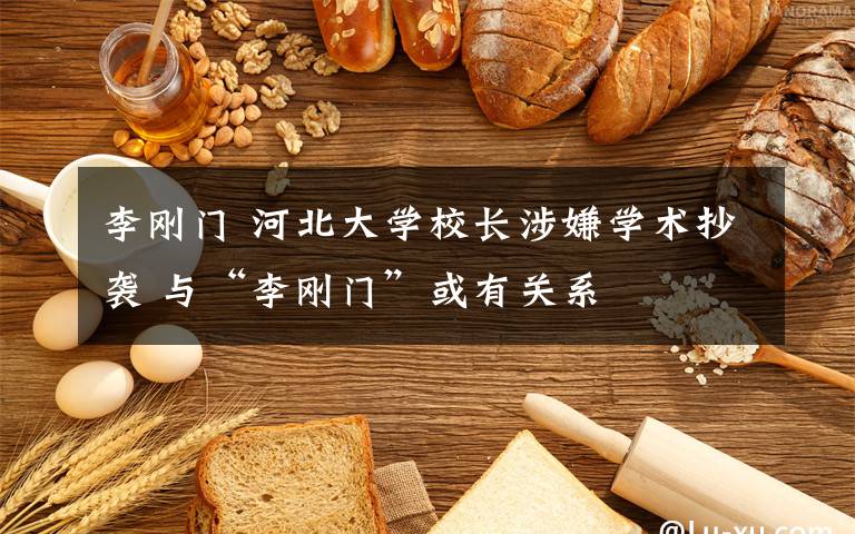 李刚门 河北大学校长涉嫌学术抄袭 与“李刚门”或有关系