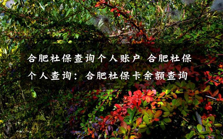 合肥社保查询个人账户 合肥社保个人查询:合肥社保卡余额查询方式有哪些?