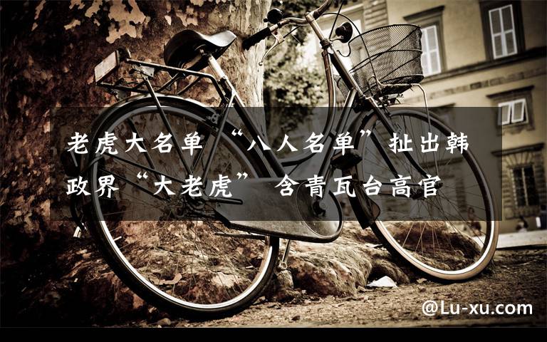 老虎大名单 “八人名单”扯出韩政界“大老虎” 含青瓦台高官