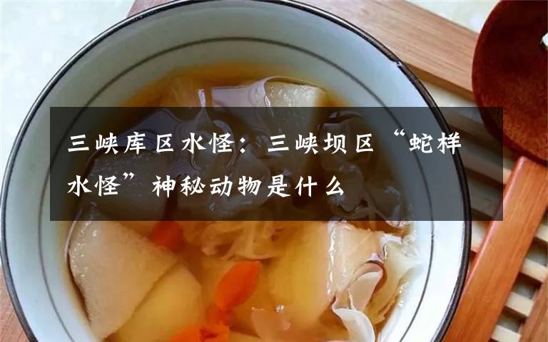 三峡库区水怪:三峡坝区“蛇样水怪”神秘动物是什么