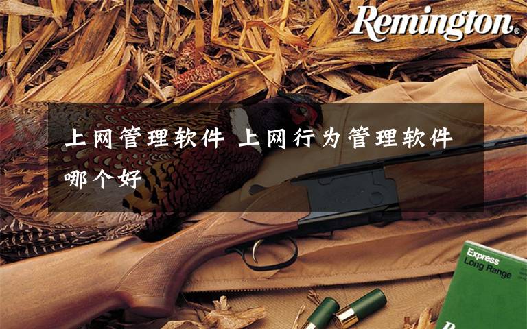 上网管理软件 上网行为管理软件哪个好