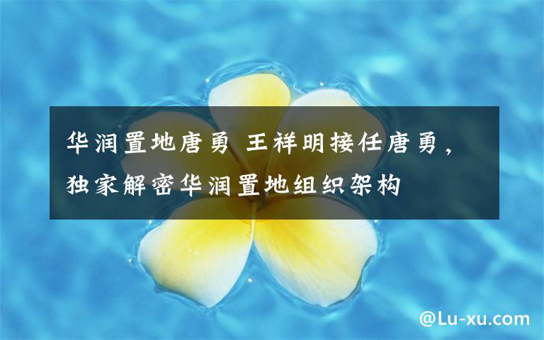 华润置地唐勇 王祥明接任唐勇,独家解密华润置地组织架构