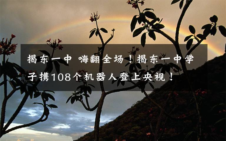 揭东一中 嗨翻全场!揭东一中学子携108个机器人登上央视!