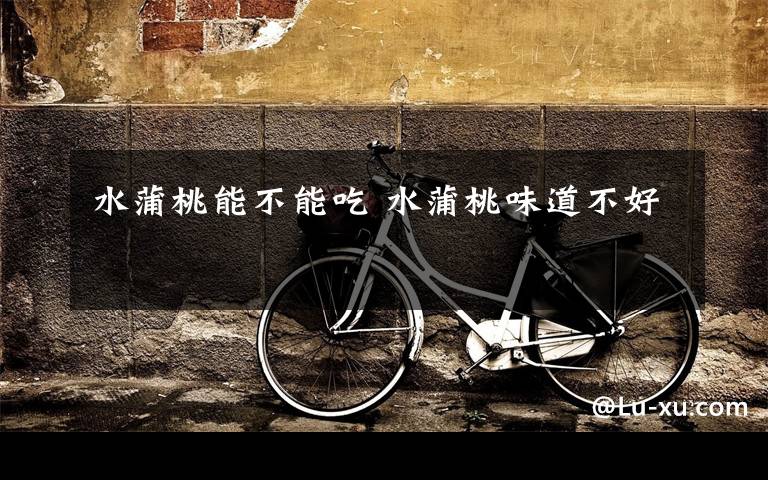 水蒲桃能不能吃 水蒲桃味道不好