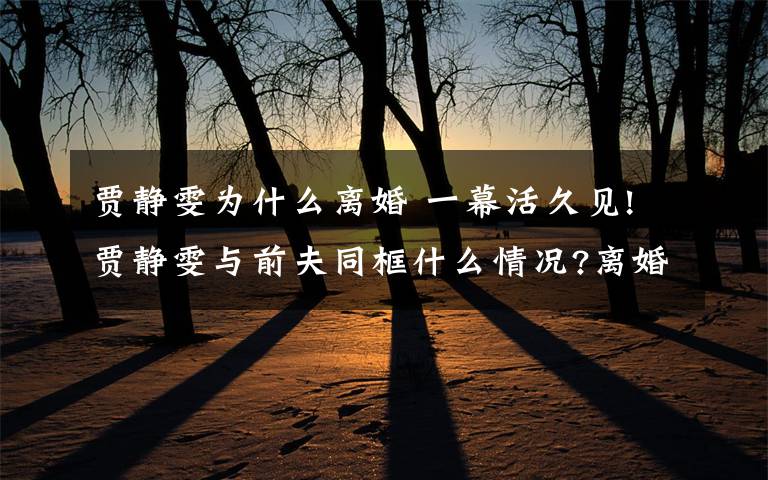贾静雯为什么离婚 一幕活久见!贾静雯与前夫同框什么情况?离婚互撕“世纪大战”背后真相始末到底是什么?