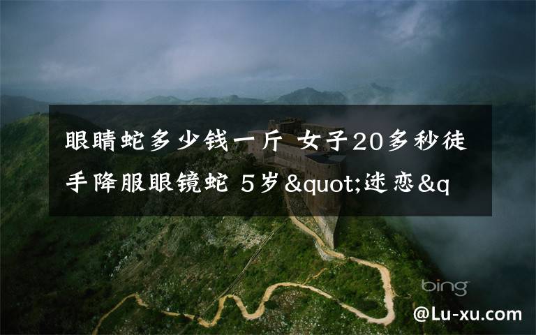 眼睛蛇多少钱一斤 女子20多秒徒手降服眼镜蛇 5岁"迷恋"上抓蛇堪称真正女汉子