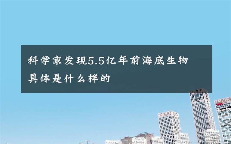 科学家发现5.5亿年前海底生物 具体是什么样的