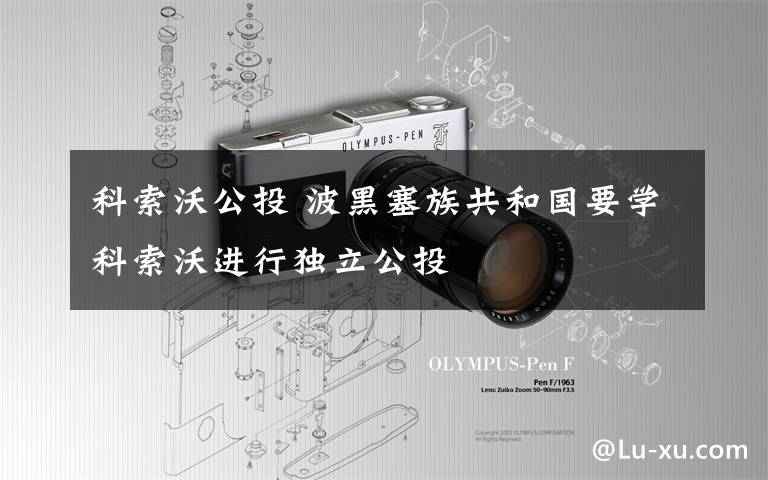 科索沃公投 波黑塞族共和国要学科索沃进行独立公投