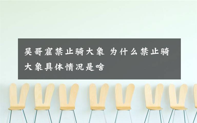 吴哥窟禁止骑大象 为什么禁止骑大象具体情况是啥